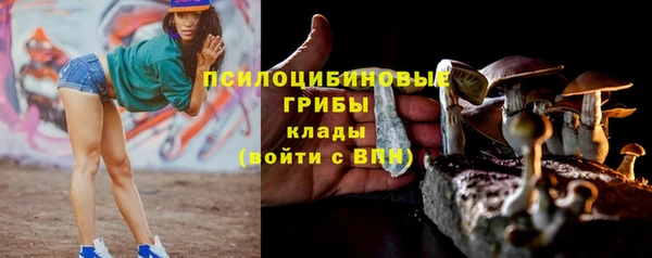 2c-b Карталы