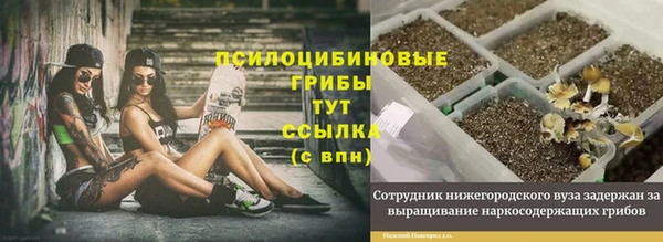 кокс Карпинск