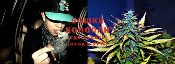 мдпв Касимов