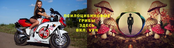 кокс Карпинск