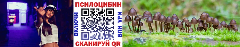 Галлюциногенные грибы Psilocybe  Купить  Заводоуковск 